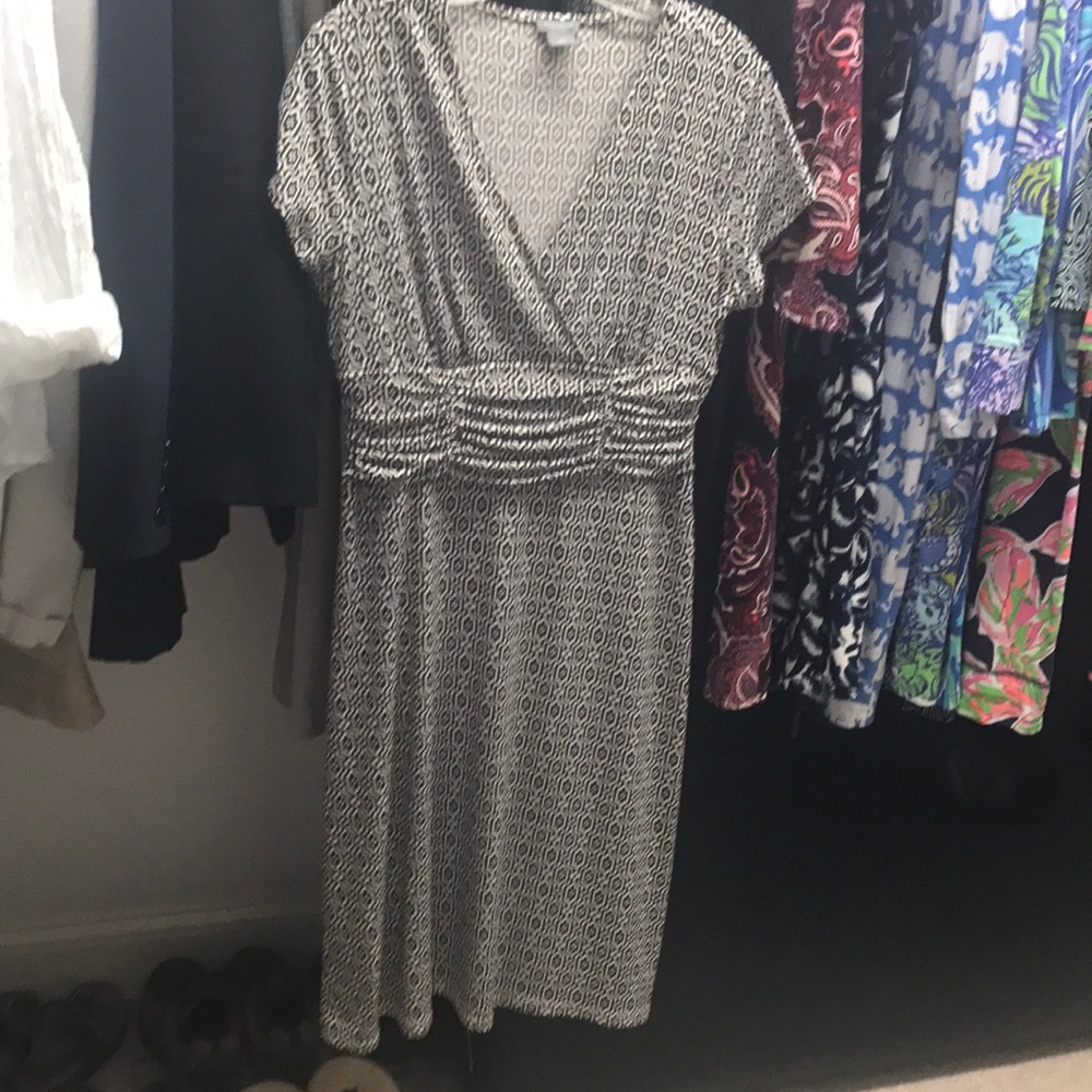 Ann Taylor dress